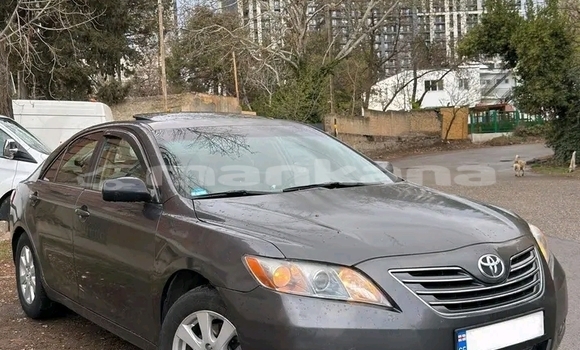Buy Used Toyota Camry Other Car in Bihvinta in Abhasia Buy Used Toyota Camry Other Car in Bihvinta in Abhasia