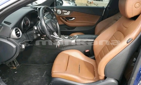 Buy Used Mercedes-Benz 250 Other Car in Bihvinta in Abhasia