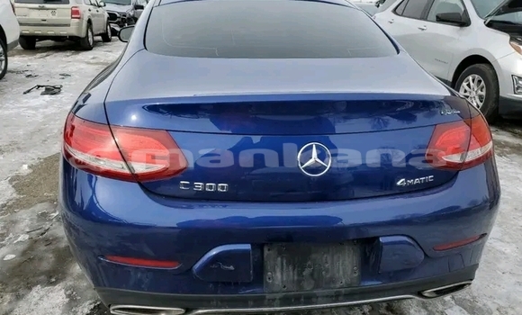Buy Used Mercedes-Benz 250 Other Car in Bihvinta in Abhasia Buy Used Mercedes-Benz 250 Other Car in Bihvinta in Abhasia
