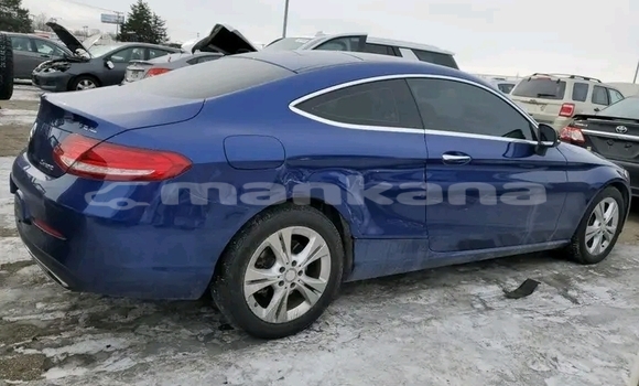 Buy Used Mercedes-Benz 250 Other Car in Bihvinta in Abhasia Buy Used Mercedes-Benz 250 Other Car in Bihvinta in Abhasia