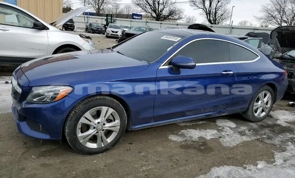 Buy Used Mercedes-Benz 250 Other Car in Bihvinta in Abhasia Buy Used Mercedes-Benz 250 Other Car in Bihvinta in Abhasia