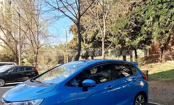 Buy Used Honda FIT Blue Car in Bihvinta in Abhasia Buy Used Honda FIT Blue Car in Bihvinta in Abhasia