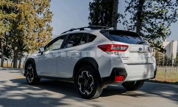Buy Used Subaru 1000 White Car in Batumi in Ajaria Buy Used Subaru 1000 White Car in Batumi in Ajaria