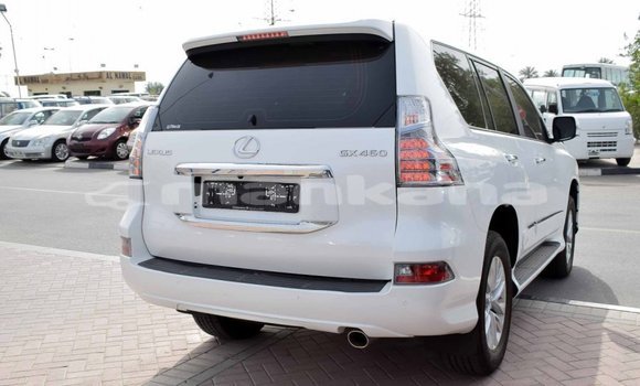 Buy Import Lexus GX White Car in Import - Dubai in Abhasia Buy Import Lexus GX White Car in Import - Dubai in Abhasia