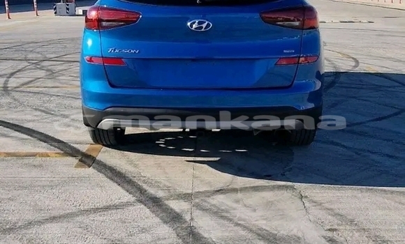 Buy Used Hyundai Tucson Blue Car in Batumi in Ajaria Buy Used Hyundai Tucson Blue Car in Batumi in Ajaria