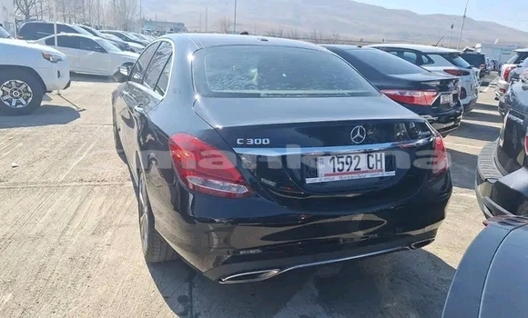 Buy Used Mercedes-Benz 250 Black Car in Bihvinta in Abhasia Buy Used Mercedes-Benz 250 Black Car in Bihvinta in Abhasia