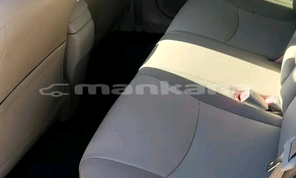 Buy Used Toyota Prius Alpha Red Car in Bihvinta in Abhasia