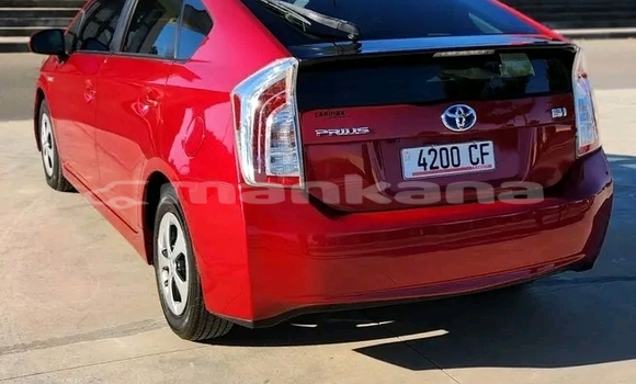 Buy Used Toyota Prius Alpha Red Car in Bihvinta in Abhasia Buy Used Toyota Prius Alpha Red Car in Bihvinta in Abhasia