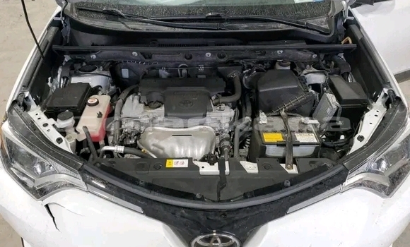 Buy Used Toyota RAV4 White Car in Batumi in Ajaria Buy Used Toyota RAV4 White Car in Batumi in Ajaria