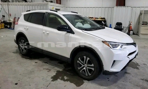 Buy Used Toyota RAV4 White Car in Batumi in Ajaria Buy Used Toyota RAV4 White Car in Batumi in Ajaria
