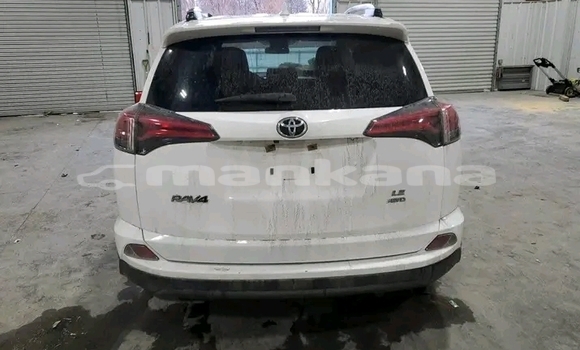 Buy Used Toyota RAV4 White Car in Batumi in Ajaria Buy Used Toyota RAV4 White Car in Batumi in Ajaria