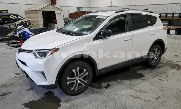 Buy Used Toyota RAV4 White Car in Batumi in Ajaria Buy Used Toyota RAV4 White Car in Batumi in Ajaria