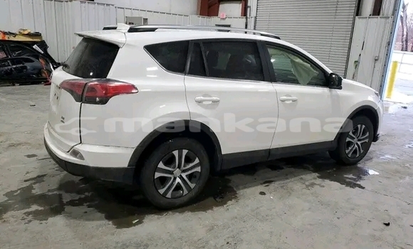 Buy Used Toyota RAV4 White Car in Batumi in Ajaria Buy Used Toyota RAV4 White Car in Batumi in Ajaria