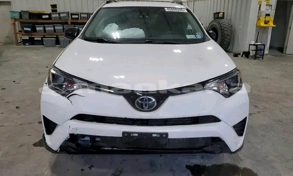 Buy Used Toyota RAV4 White Car in Batumi in Ajaria Buy Used Toyota RAV4 White Car in Batumi in Ajaria