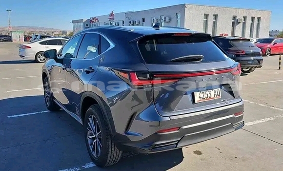 Buy Used Toyota Land Cruiser Other Car in Batumi in Ajaria Buy Used Toyota Land Cruiser Other Car in Batumi in Ajaria