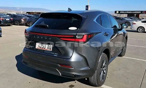 Buy Used Toyota Land Cruiser Other Car in Batumi in Ajaria Buy Used Toyota Land Cruiser Other Car in Batumi in Ajaria