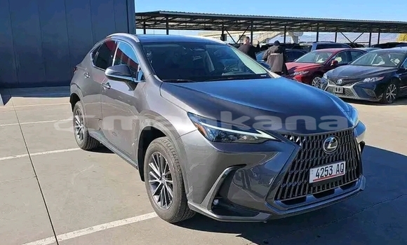 Buy Used Toyota Land Cruiser Other Car in Batumi in Ajaria Buy Used Toyota Land Cruiser Other Car in Batumi in Ajaria