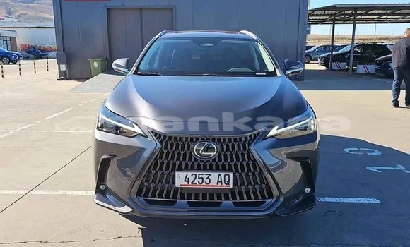 Buy Used Toyota Land Cruiser Other Car in Batumi in Ajaria Buy Used Toyota Land Cruiser Other Car in Batumi in Ajaria