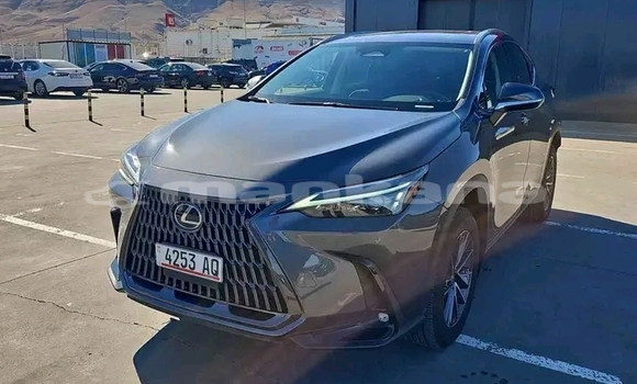 Buy Used Toyota Land Cruiser Other Car in Batumi in Ajaria Buy Used Toyota Land Cruiser Other Car in Batumi in Ajaria