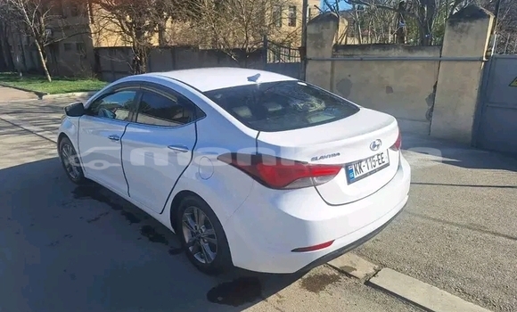 Buy Used Hyundai Elantra White Car in Batumi in Ajaria Buy Used Hyundai Elantra White Car in Batumi in Ajaria