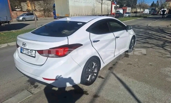 Buy Used Hyundai Elantra White Car in Batumi in Ajaria Buy Used Hyundai Elantra White Car in Batumi in Ajaria
