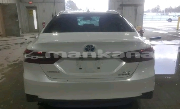 Buy Used Toyota Camry White Car in Batumi in Ajaria Buy Used Toyota Camry White Car in Batumi in Ajaria