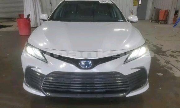 Buy Used Toyota Camry White Car in Batumi in Ajaria Buy Used Toyota Camry White Car in Batumi in Ajaria