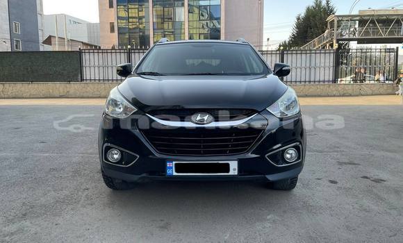 Buy Used Hyundai Tucson Black Car in Tbilisi in Tbilisi Buy Used Hyundai Tucson Black Car in Tbilisi in Tbilisi