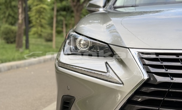Buy Used Lexus NX Beige Car in Tbilisi in Tbilisi