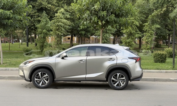 Buy Used Lexus NX Beige Car in Tbilisi in Tbilisi Buy Used Lexus NX Beige Car in Tbilisi in Tbilisi