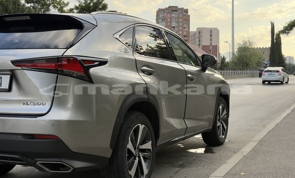 Buy Used Lexus NX Beige Car in Tbilisi in Tbilisi Buy Used Lexus NX Beige Car in Tbilisi in Tbilisi