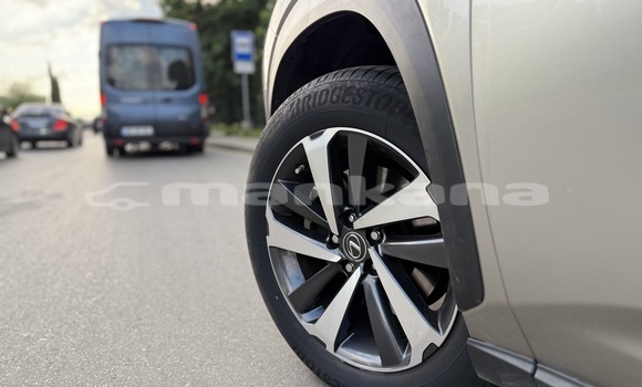 Buy Used Lexus NX Beige Car in Tbilisi in Tbilisi Buy Used Lexus NX Beige Car in Tbilisi in Tbilisi