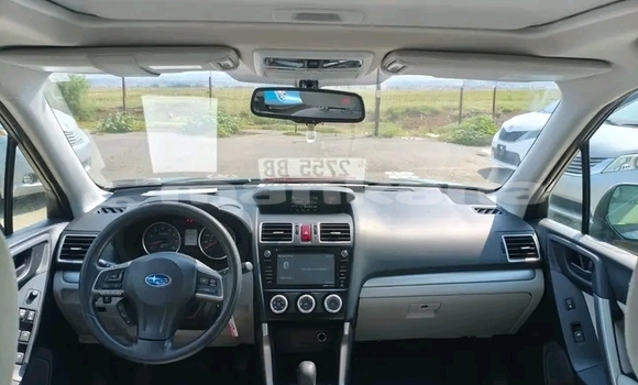 Buy Used Subaru Forester Other Car in Batumi in Ajaria Buy Used Subaru Forester Other Car in Batumi in Ajaria