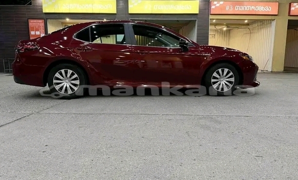 Buy Used BMW 7-Series Red Car in Batumi in Ajaria Buy Used BMW 7-Series Red Car in Batumi in Ajaria