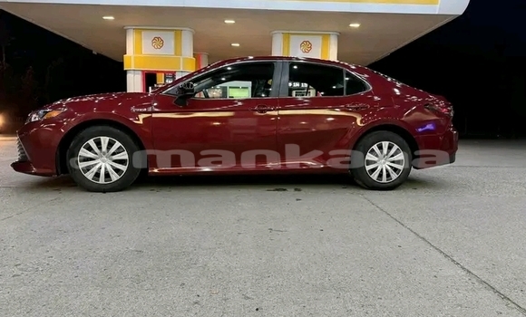 Buy Used BMW 7-Series Red Car in Batumi in Ajaria Buy Used BMW 7-Series Red Car in Batumi in Ajaria