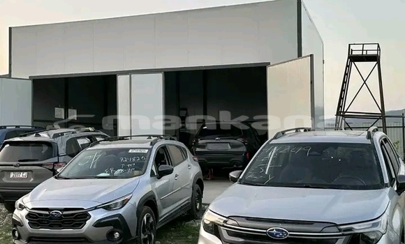 Buy Used Subaru Forester Other Car in Gagra in Abhasia Buy Used Subaru Forester Other Car in Gagra in Abhasia