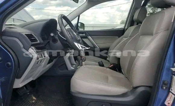 Buy Used Subaru Forester Other Car in Batumi in Ajaria