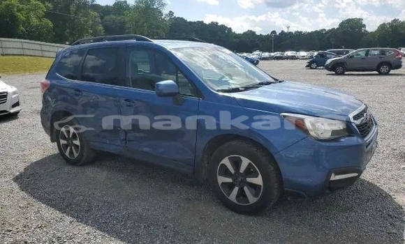 Buy Used Subaru Forester Other Car in Batumi in Ajaria Buy Used Subaru Forester Other Car in Batumi in Ajaria