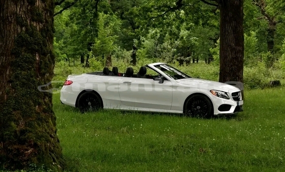 Buy Used Mercedes-Benz 250 White Car in Batumi in Ajaria Buy Used Mercedes-Benz 250 White Car in Batumi in Ajaria