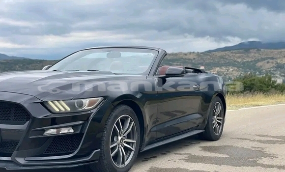 Buy Used BMW 340 Black Car in Batumi in Ajaria Buy Used BMW 340 Black Car in Batumi in Ajaria