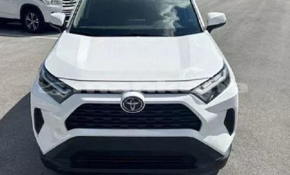 Buy Used Toyota RAV4 White Car in Bagdadi in Imereti Buy Used Toyota RAV4 White Car in Bagdadi in Imereti