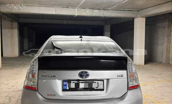 Buy Used Toyota Prius Silver Car in Tbilisi in Tbilisi