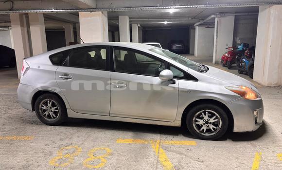 Buy Used Toyota Prius Silver Car in Tbilisi in Tbilisi Buy Used Toyota Prius Silver Car in Tbilisi in Tbilisi