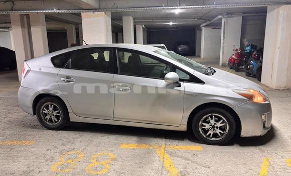 Buy Used Toyota Prius Silver Car in Tbilisi in Tbilisi Buy Used Toyota Prius Silver Car in Tbilisi in Tbilisi