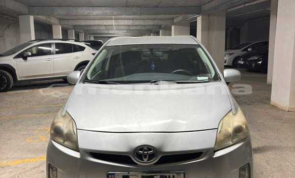 Buy Used Toyota Prius Silver Car in Tbilisi in Tbilisi Buy Used Toyota Prius Silver Car in Tbilisi in Tbilisi