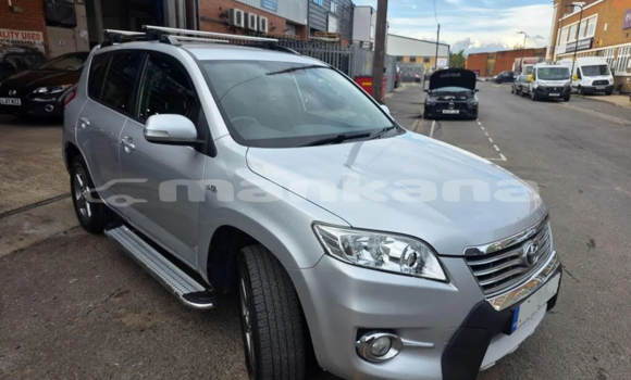 Buy Used Toyota RAV4 White Car in Tbilisi in Tbilisi