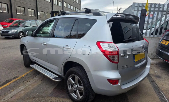 Buy Used Toyota RAV4 White Car in Tbilisi in Tbilisi Buy Used Toyota RAV4 White Car in Tbilisi in Tbilisi