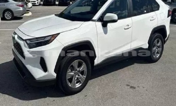 Buy Used Toyota RAV4 White Car in Ahmeta in Kaheti
