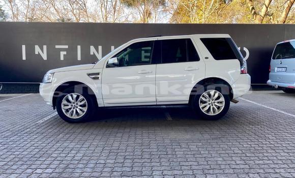 Buy Used Land Rover Freelander White Car in Tbilisi in Tbilisi Buy Used Land Rover Freelander White Car in Tbilisi in Tbilisi