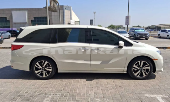 Buy Used Honda Odyssey White Car in Tbilisi in Tbilisi Buy Used Honda Odyssey White Car in Tbilisi in Tbilisi